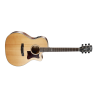 CORT ELECTRO-ACOUSTIC GUITAR GA5F-BW NS