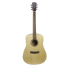 CORT ELECTRO-ACOUSTIC GUITAR AD850SE OP