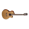 CORT SEMI-ACOUSTIC CLASSICAL GUITAR CEC5 NAT