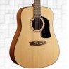 WASHBURN APPRENTICE D5 ACOUSTIC GUITAR TOP AD5-A-U