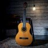 Washburn Classical C40 Classical Guitar C40-A-U