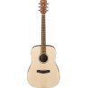 Ibanez Acoustic Guitar PF series PF10-OPN