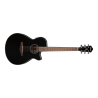 Ibanez electro-acoustic guitar AEG50-BK