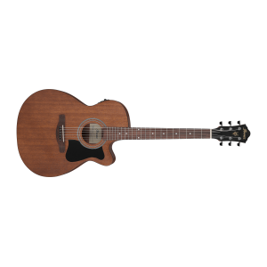 Ibanez Acoustic Guitar...