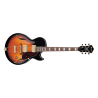 Ibanez Hollowbody Electric Guitar AG Series Brown Sunburst AG75G-BS