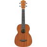 Ibanez Acoustic Concert Ukulele with Bag UKC10