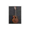 Ibanez Acoustic Tenor Ukulele with Cutaway	UEWT5-OPN