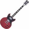 D'Angelico Electric Guitar Premier Brighton Oxblood DAPBRIOXBCS