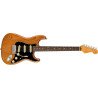 Fender Electric Guitar AM Pro II Strat