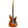 Fender Electric Guitar Player Stratocaster Pau Ferro Aged Natural ( Limited Edition ) 149911228