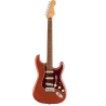 Fender Electric Guitar Player Plus Strat Pau Ferro Aged Candy Apple Red 147312370